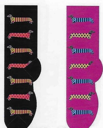 Animal Dachshund in Sweaters Socks